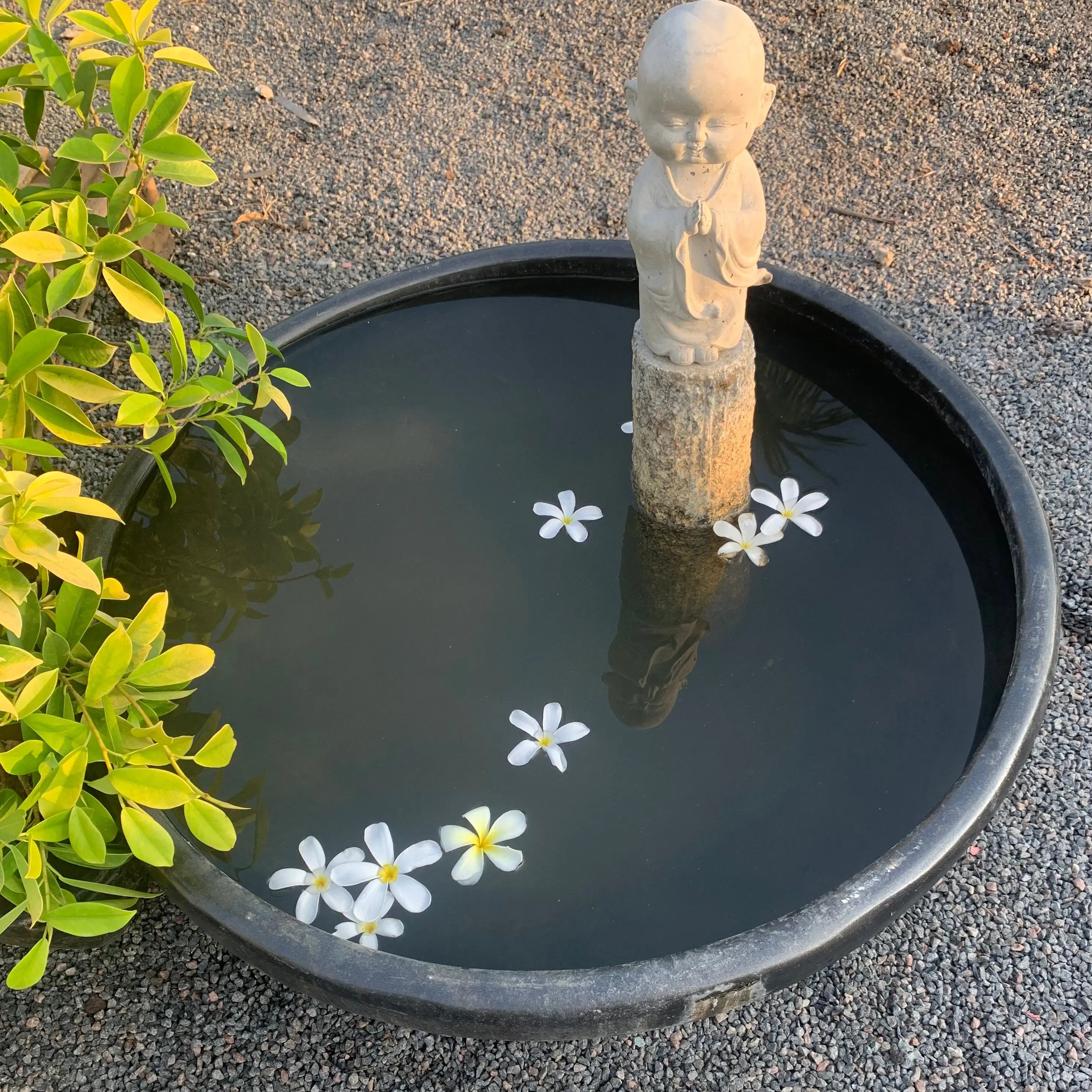 Lotus Pots- Enhance Your Water Garden with Exquisite Planters – The ...