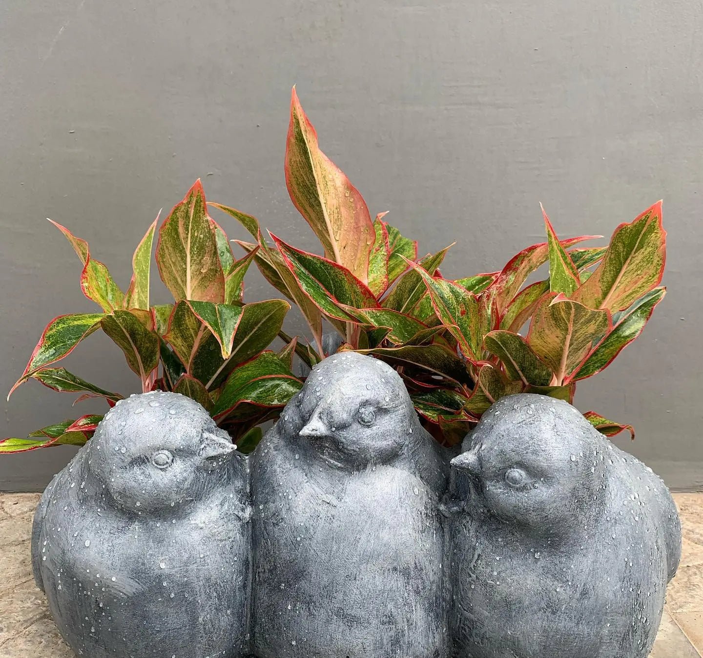 Bird planter decorative flower pots for outdoor plants– The Plant Shop