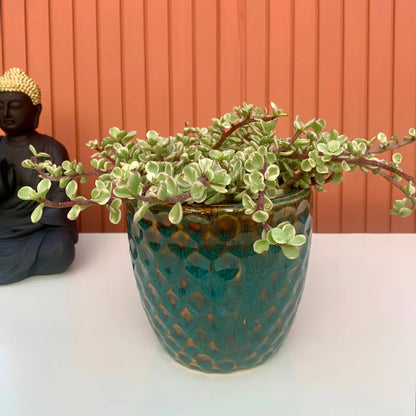 Buy ceramic planter pot deep blue  - The Plant Shop