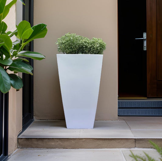 Buy Trapezoid medium and tall planters for indoor and outdoor use online. - The Plant Shop