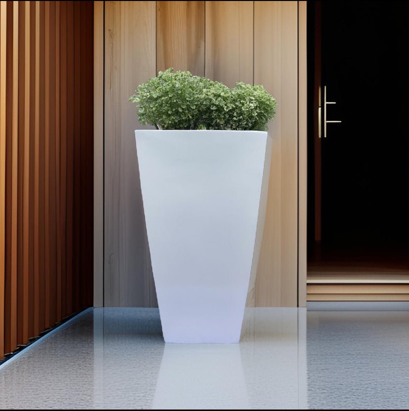 Buy Trapezoid medium and tall planters for indoor and outdoor use online. - The Plant Shop