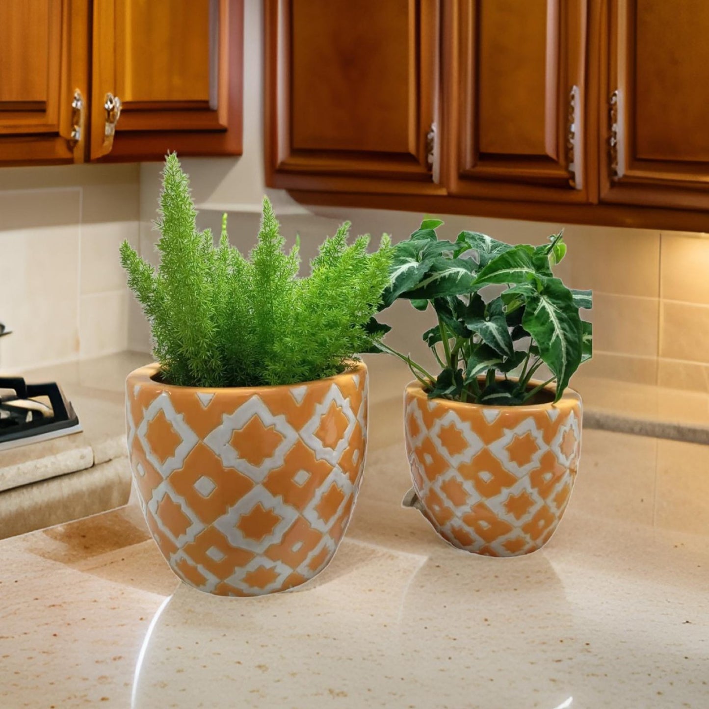Ceramic pots in Delhi Mughal style-Decorative planters for indoor plants. - The Plant Shop