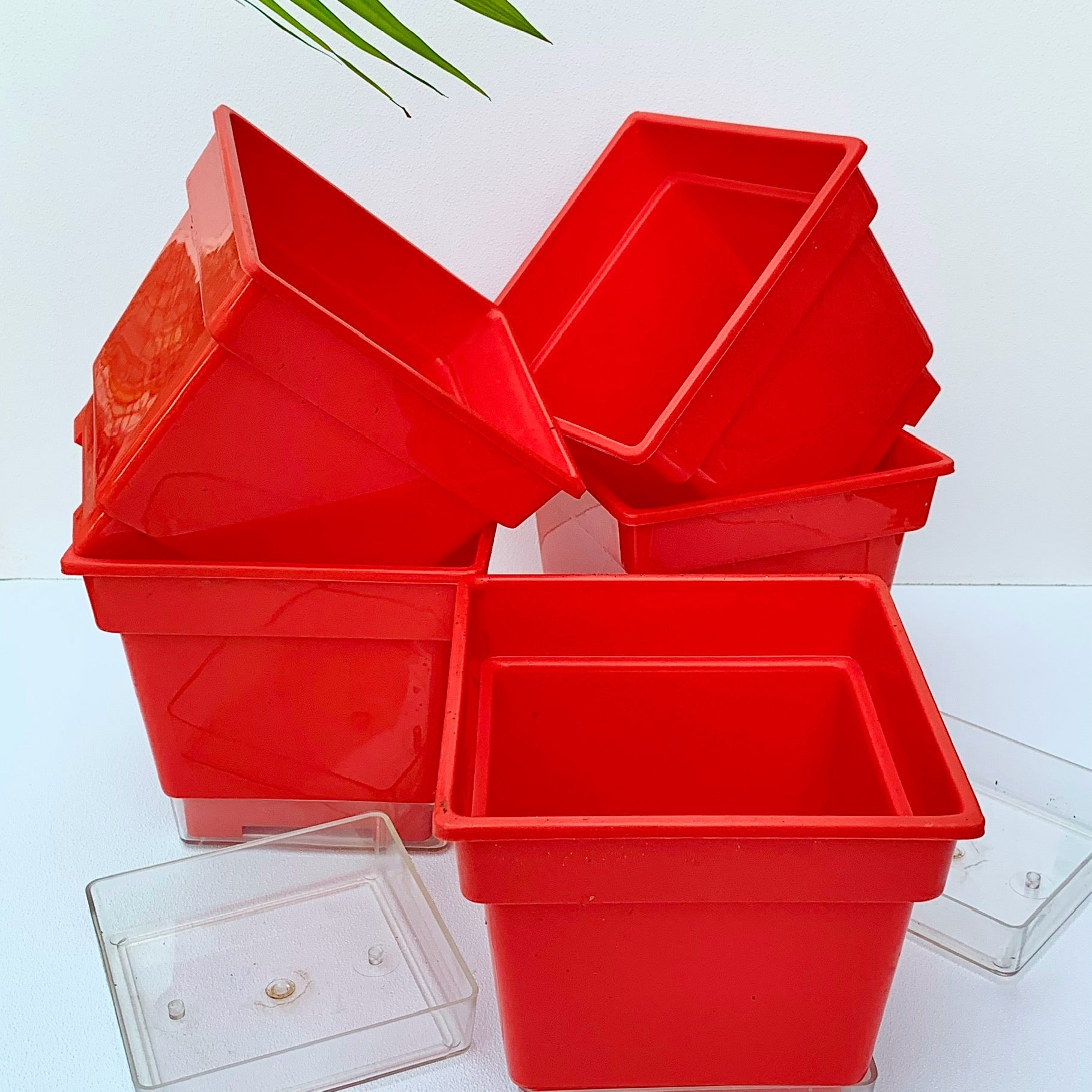 Flower pots - decorative planters made from plastic in vibrant colors. - The Plant Shop