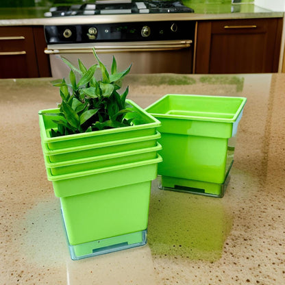 Flower pots - decorative planters made from plastic in vibrant colors. - The Plant Shop